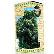 Coffret botanique: Catalpa /